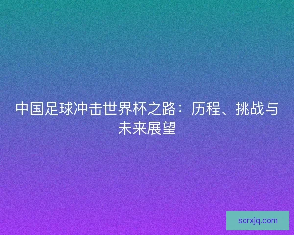 中国足球冲击世界杯之路：历程、挑战与未来展望